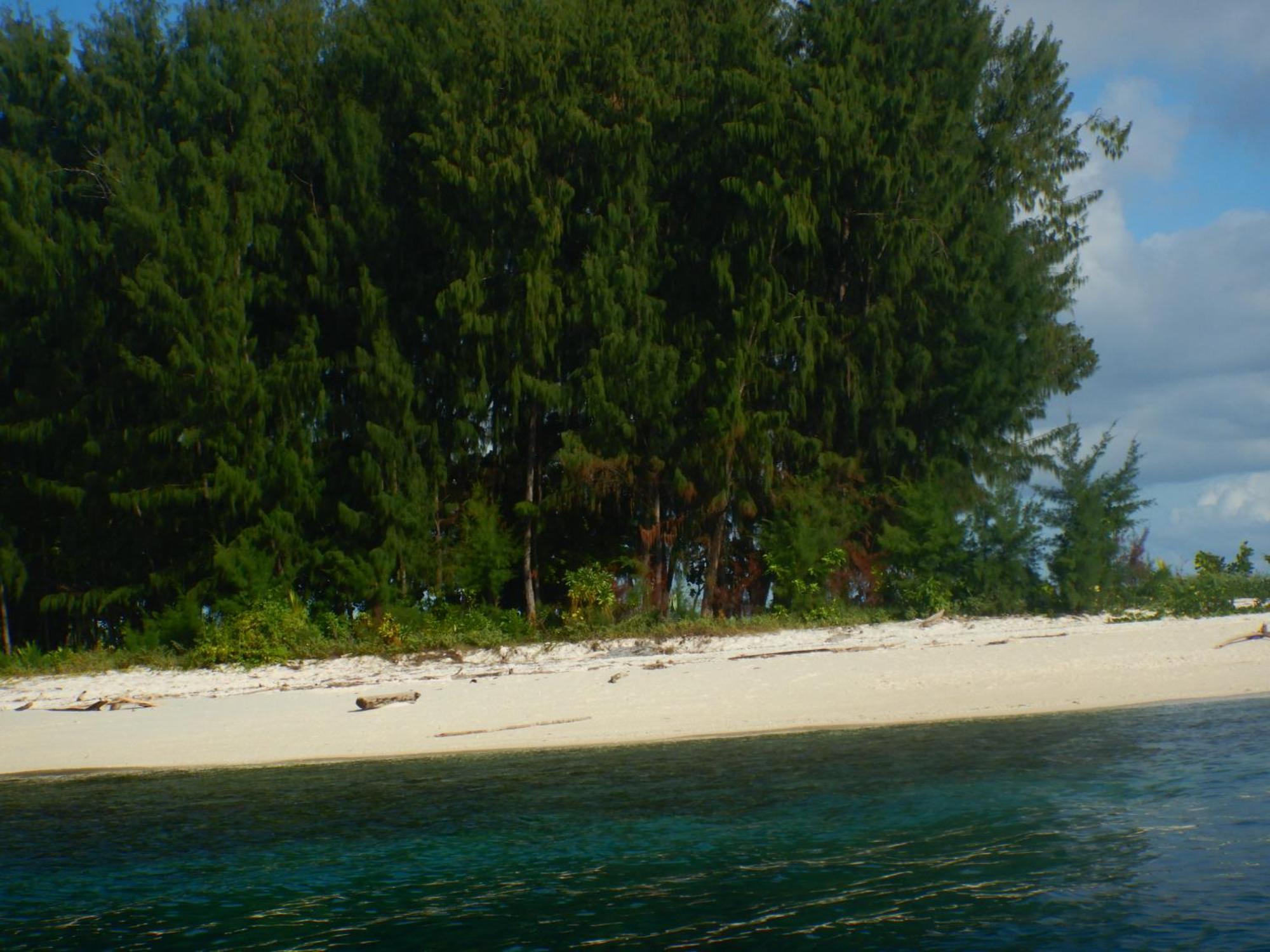 Villa Raja Ampat Blue Sea Besir Exterior foto