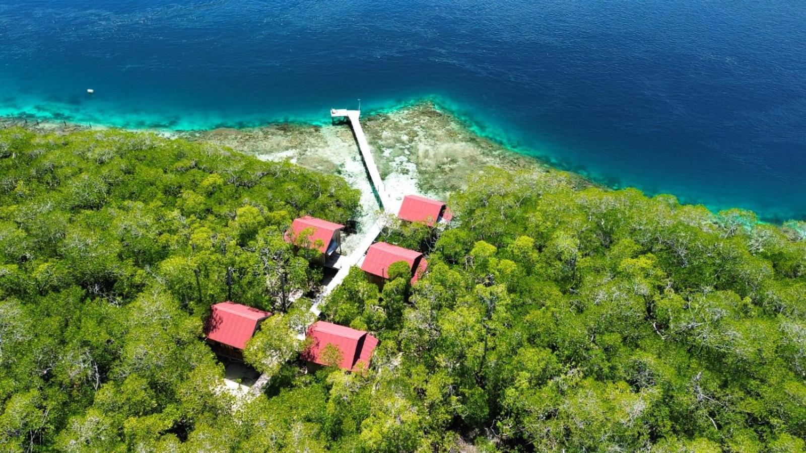 Villa Raja Ampat Blue Sea Besir Exterior foto